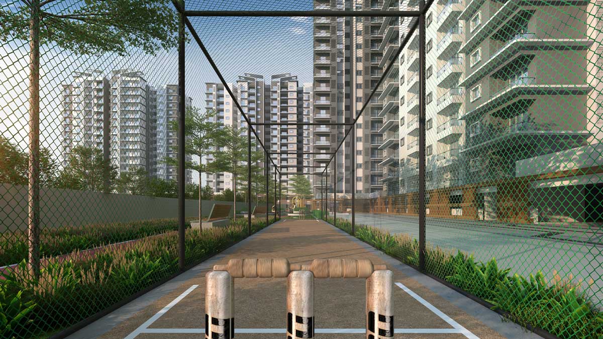 Cricket Practice Net